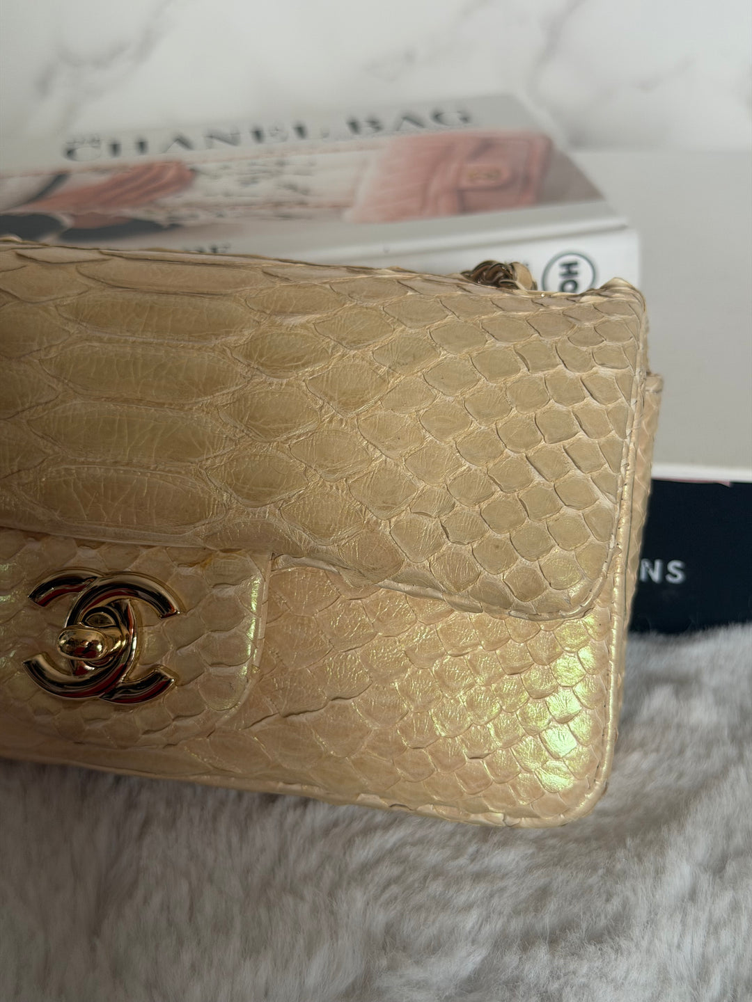 CHANEL series 20 Iridescent Ivory Llizard Exotic skin Extra Mini Rectangular Flap Bag LGHW