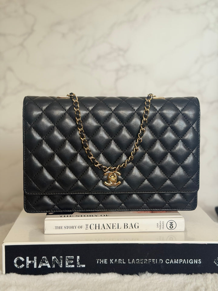 CHANEL series 23 Black Lambskin Quilted LGHW Fantasy Pearls Flap Bag 2017