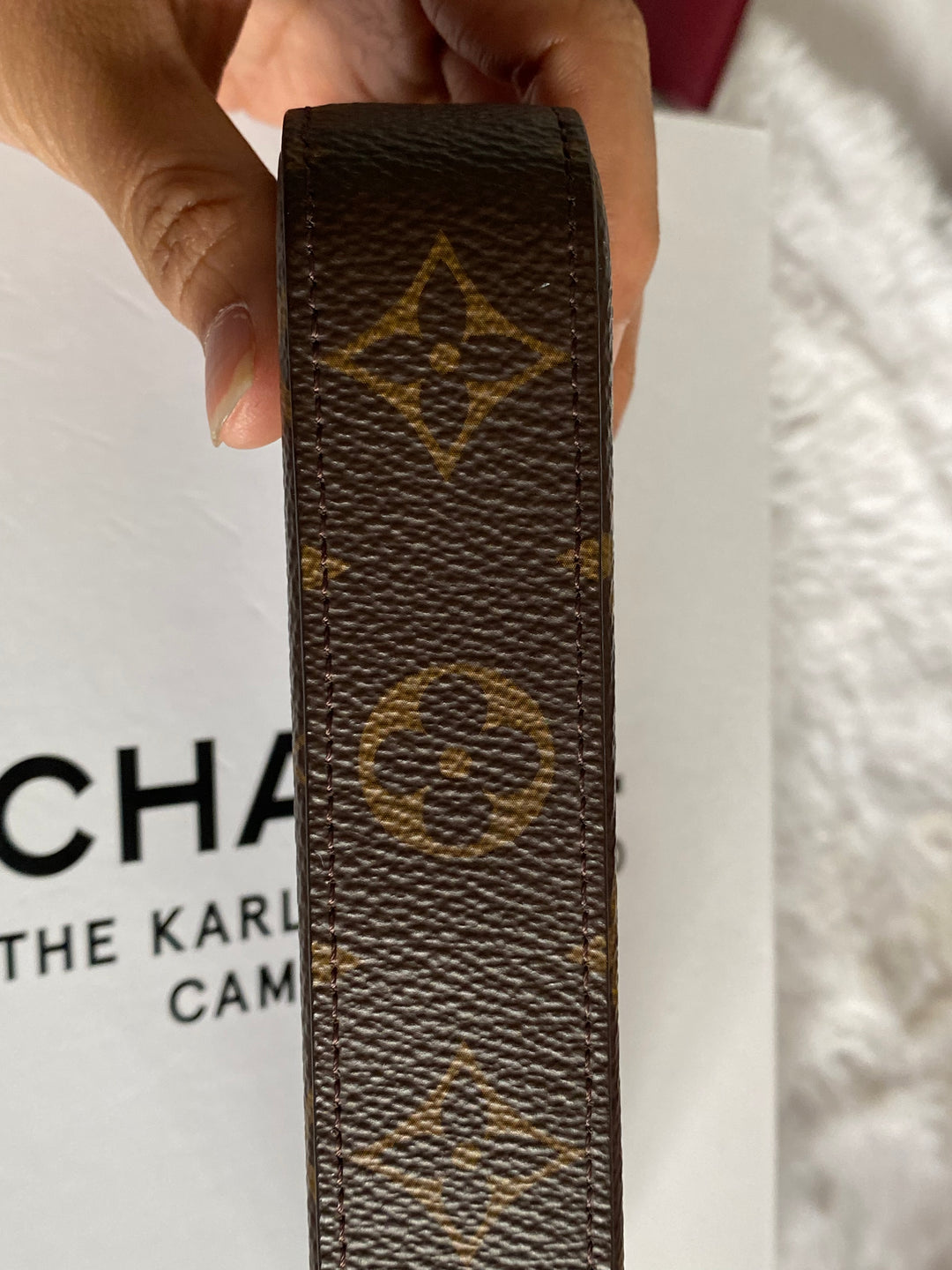 Louis Vuitton Pochette Felicie Monogram