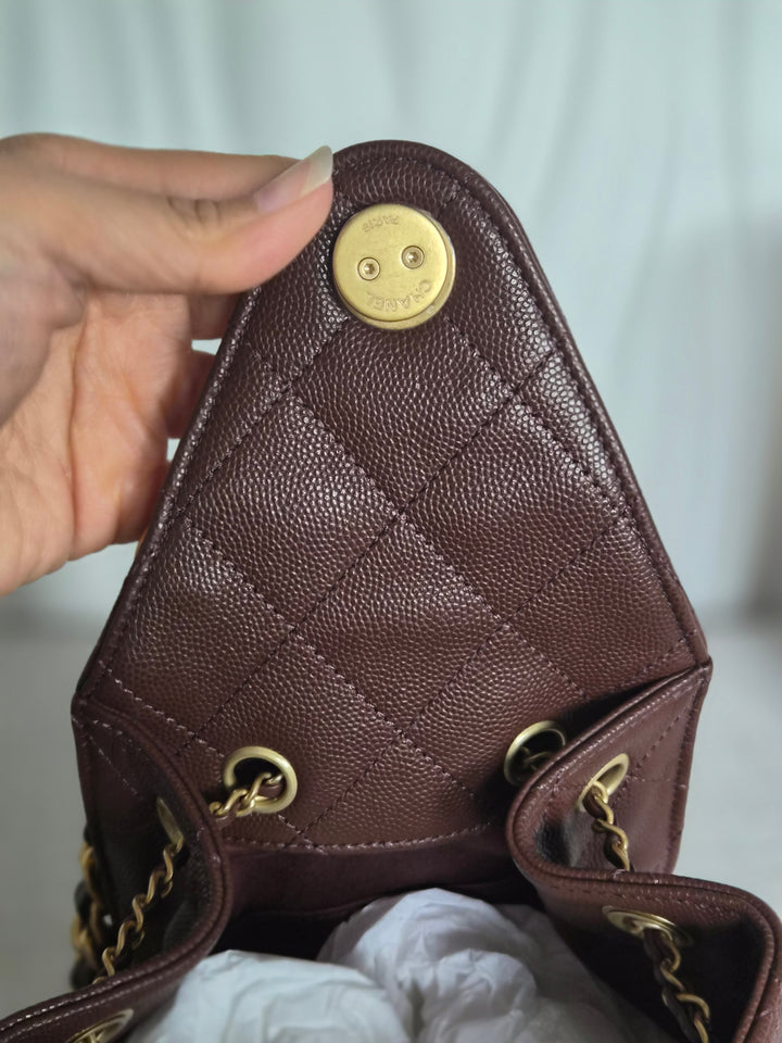 CHANEL 25K Collection Brown Caviar Aged GHW 25 Hobo Bag size SMALL