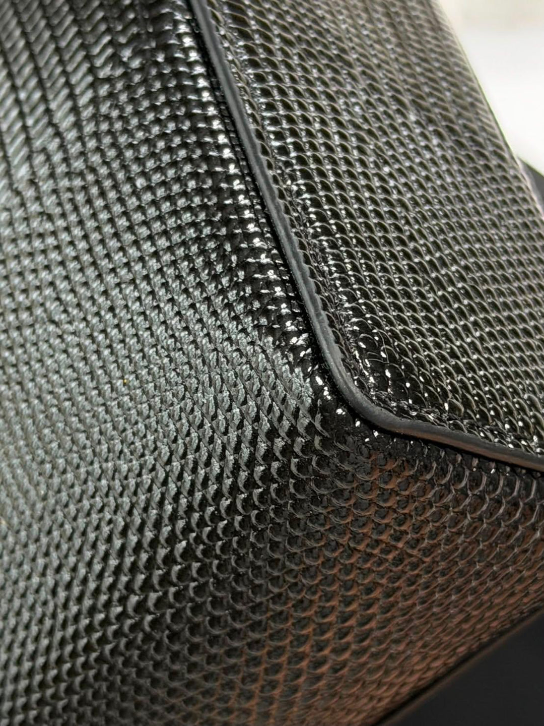 CHANEL 26A Lizard Embossed Black Calf Skin LGHW LP Long Vanity Small 19 cms 2026