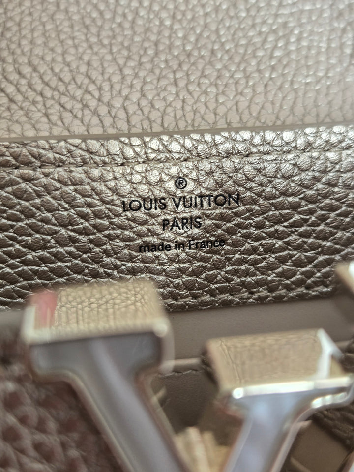 LOUIS VUITTON LV Metallic Taurillon Embellished Flower Crown Mini Capucines in Gold
