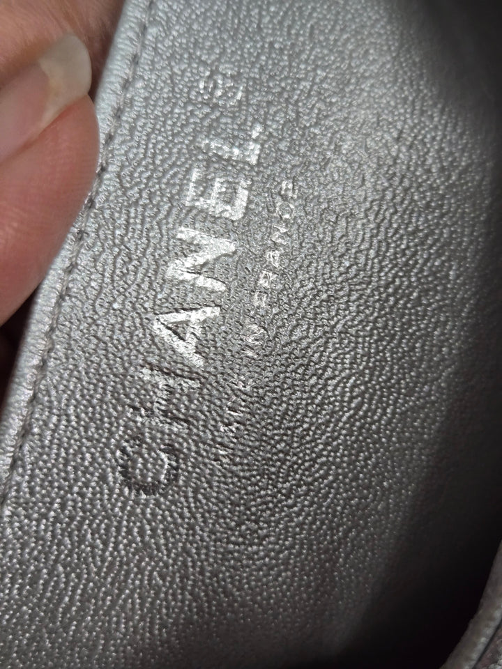 Chanel Series 31 21P 2021 Pre Spring/Summer Collection Iridescent Silver lambskin SHW Square Mini Flap Bag